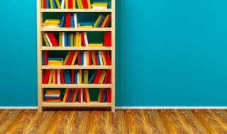 端倪是什么意思（可见端倪是什么意思）