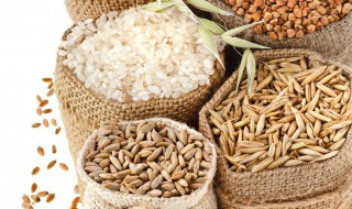 谷子是什么意思 谷子是什么意思二次元