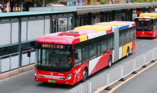 bus是什么意思 bus是什么意思英语