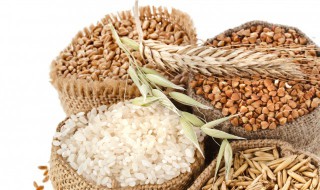 避谷是什么意思 避谷是什么意思能增肥吗