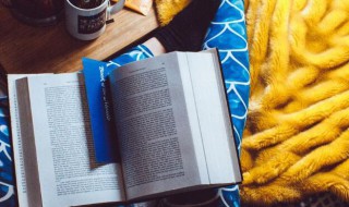 押的意思 押的意思是什么