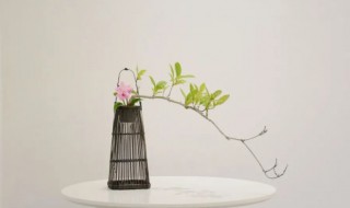 哲理的意思是什么（富含哲理的意思是什么）