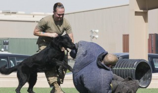 魁梧的意思 魁梧黧黑的意思