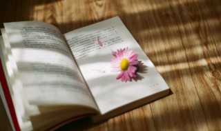 文艺复兴是什么意思（网上文艺复兴是什么意思）