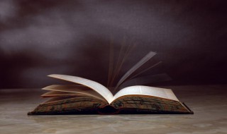 实词是什么意思 实词是什么意思虚词是什么意思