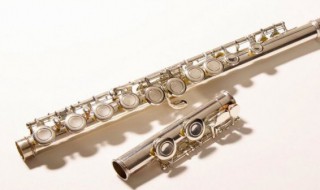 单簧管是什么乐器 单簧管是什么乐器之一