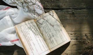 有教无类是谁的观点 有教无类是谁主张的