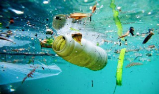 环境污染包括哪些 次生环境污染包括哪些