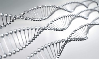 什么是生物工程 什么是生物工程专业