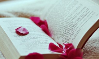 总资产报酬率是什么（总资产报酬率是什么指标）