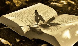 平账是什么意思 财务平账是什么意思