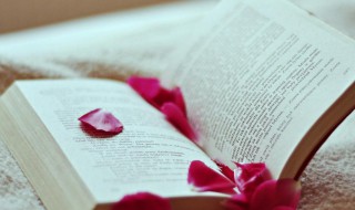 成长型基金是什么 什么是成长型基金?