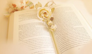 记账报税是什么意思（报账报税是什么意思）