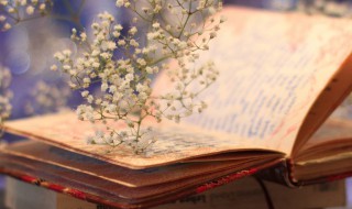 清算资金往来是什么 清算资金往来是什么业务