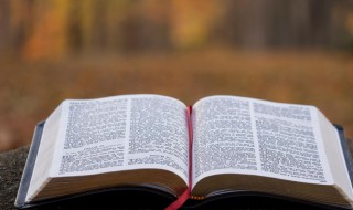 制度经济学是什么 制度经济学是什么书