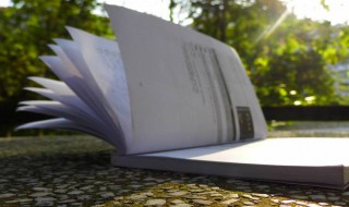 买房印花税是什么意思（买房印花税是什么意思是全款还是首付）