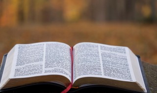 样本量是什么（样本量是什么变量）