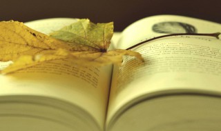 商品的基本属性是什么（商品的基本属性包括什么和什么）