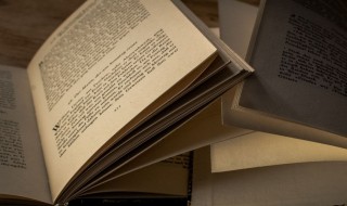 国家股是什么意思 我国的国家股一般应是什么