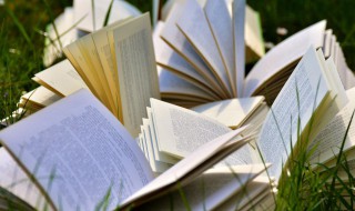 金融脱媒是什么（金融脱媒是什么时候开始的）