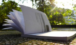 什么是做账（什么是做账公司）