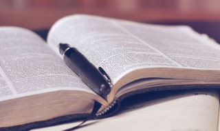 正税是什么意思（税到底是什么意思）