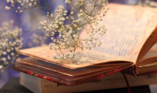 预测分析的意义是什么 预测分析的含义