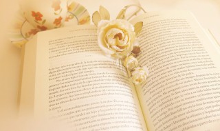 什么是隔夜利率（隔夜利率指什么）