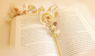 投入资本是什么（投入资本是什么会计科目）