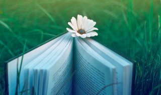 什么是支付清算体系 什么是支付清算体系