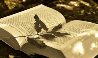 自然人控股是什么意思 自然人投资控股法人是什么意思