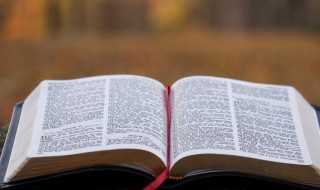 什么是折现率（什么是折现率?如何确定折现率?）