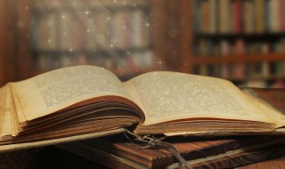 什么是管理会计信息化（什么是管理会计信息化的核心）