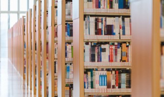 恃宠生娇什么意思（恃宠生娇百度百科）