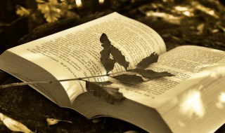 什么是所有者权益借贷 什么是所有者权益借贷科目