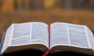 什么是成本计算 什么是成本计算期