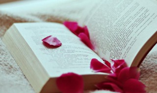 质权是什么意思（留置权和质权是什么意思）