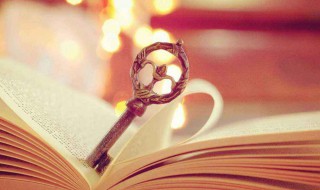 什么是类金融模式 什么叫类金融模式