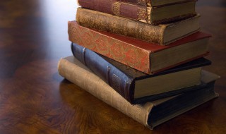 独资企业是什么意思 营业执照个人独资企业是什么意思