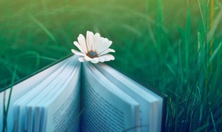 基准收益率是什么 基准收益率是什么?基准收益率是怎样确定下来的?