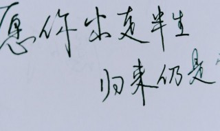 出走半生归来仍是少年什么意思 愿你出走半生归来仍是少年什么意思