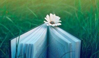 高职本科是什么（高职本科是什么意思 和专科有什么区别）