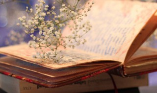 危楼高百尺是什么诗 危楼高百尺是哪首诗啊