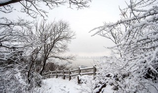 忽如一夜春风来是什么季节的 忽如一夜春风来是什么季节的诗句