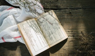 驱除鞑虏什么意思（驱除鞑虏什么意思啊）