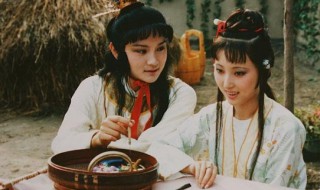 红楼梦的主要人物是谁（红楼梦的主要人物是谁5个）