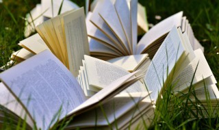 复利现值系数是什么 复利现值和复利现值系数