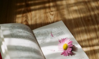 尚能饭否是什么意思（尚能饭否是什么意思?）