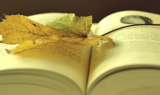 烟波江上使人愁的前一句是什么（烟波江上使人愁 的上一句是什么）