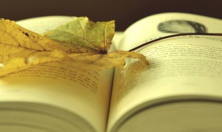 什么是情态动词 什么是实义动词什么是情态动词